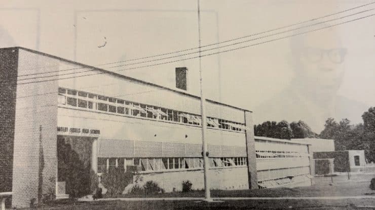 alston focus graphic